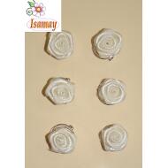 ESPIRAL ROSITA RASO BEIGE
